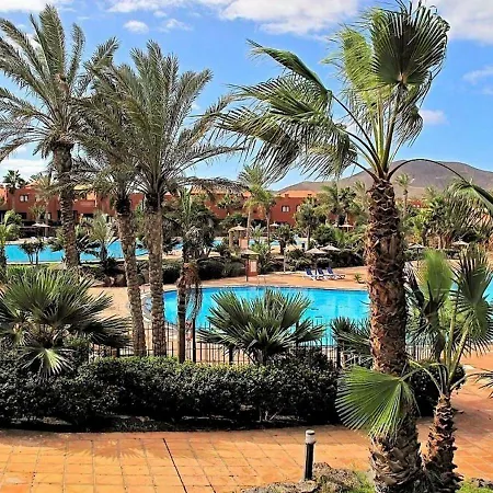 Oasis Tamarindo Aj Коральео